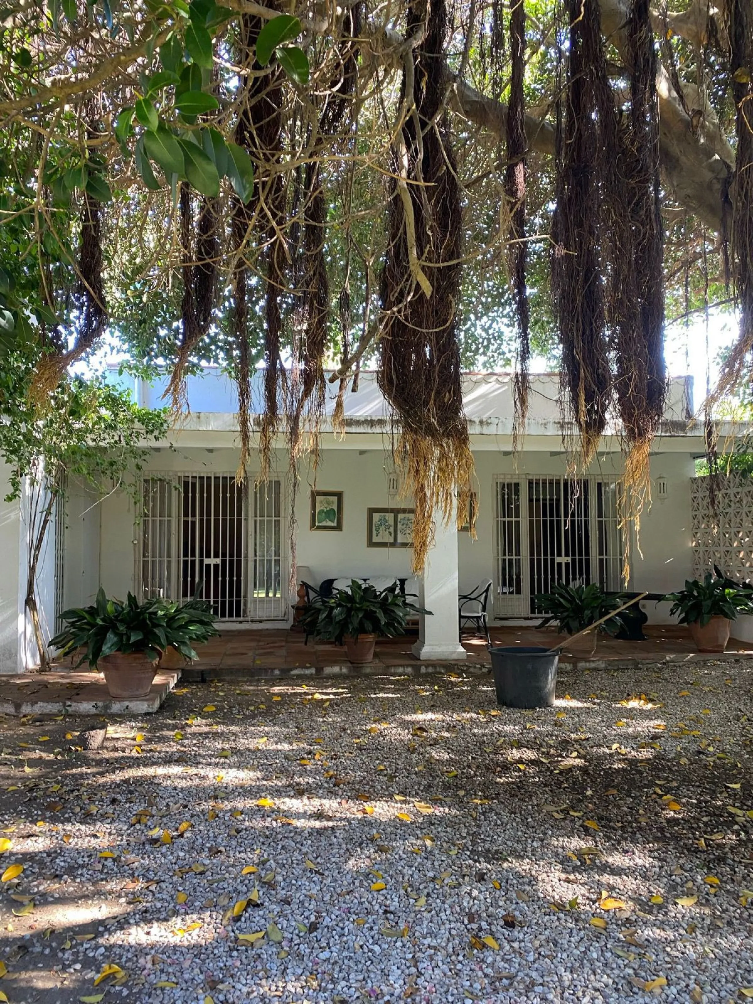 Charming Villa for Renovation in Casasola