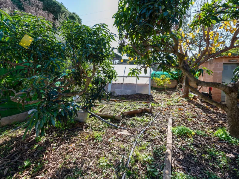 Located in the quiet urbanization of Ricmar - El Rosario, this magnificent independent villa is located in one of the most privileged areas of Marbella East, in Las Chapas. With a design that combines comfort and elegance, this property is ideal for those