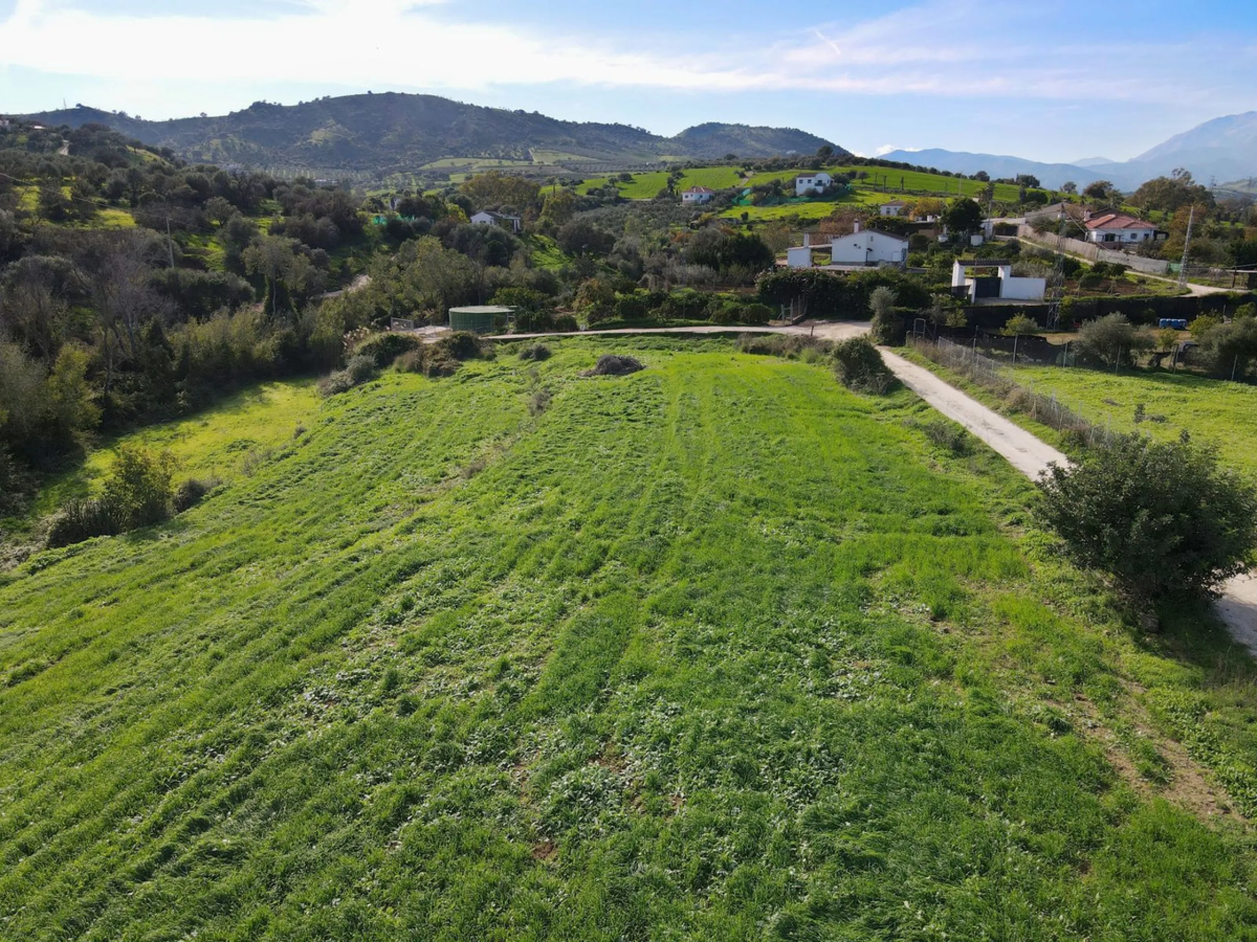 House - Finca - Cortijo в продаже в Coín, Málaga. В доме 5 спален и 5 ванных комнат. Площадь дома 360 м². Площадь участка 40000 м²