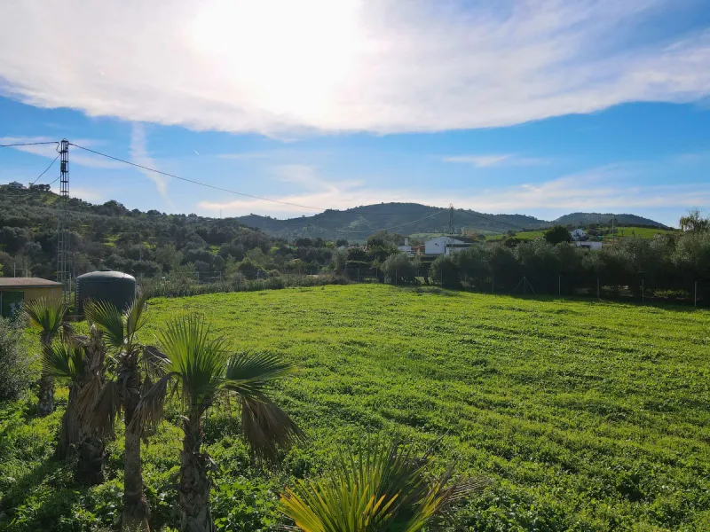 House - Finca - Cortijo в продаже в Coín, Málaga. В доме 5 спален и 5 ванных комнат. Площадь дома 360 м². Площадь участка 40000 м²