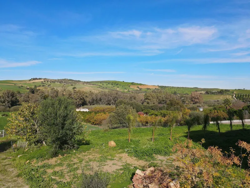 House - Finca - Cortijo в продаже в Coín, Málaga. В доме 5 спален и 5 ванных комнат. Площадь дома 360 м². Площадь участка 40000 м²