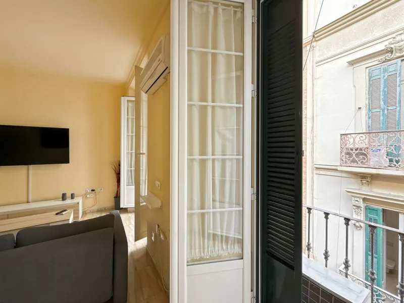 Investing in the historic center of Málaga has never been so profitable or attractive. Just 25 meters from the iconic Calle Larios, these two independent apartments, located on the same floor, represent a unique opportunity for investors seeking a combina