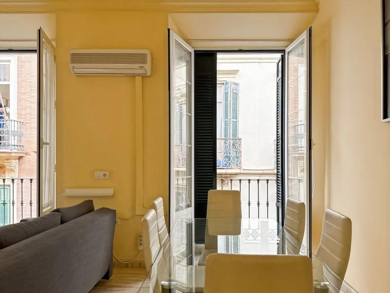 Investing in the historic center of Málaga has never been so profitable or attractive. Just 25 meters from the iconic Calle Larios, these two independent apartments, located on the same floor, represent a unique opportunity for investors seeking a combina
