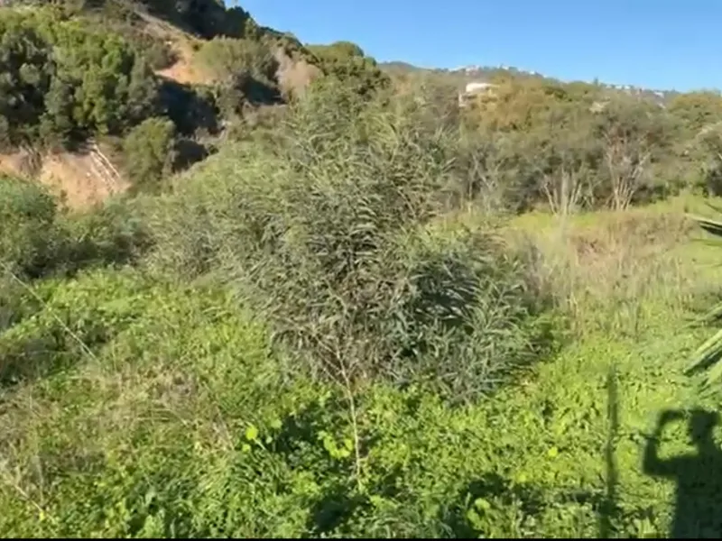 Plot in Elviria, one of Marbella's most sought-after areas, located near P de Áustria. This prime location offers tranquility and proximity to top-quality beaches, Santa Maria Golf, supermarkets, restaurants, and international schools like the German Scho