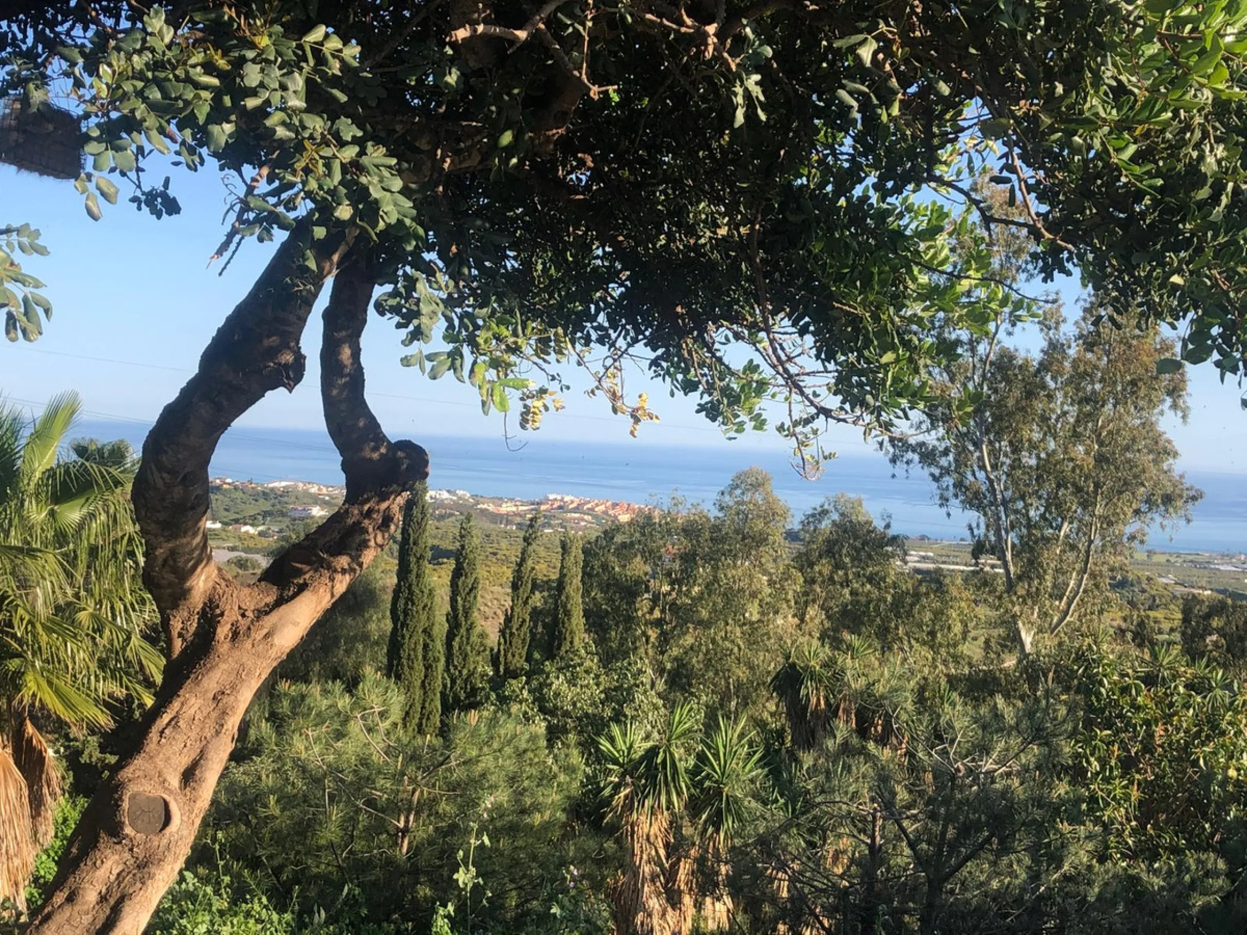 Discover your refuge in the Axarquía of Malaga