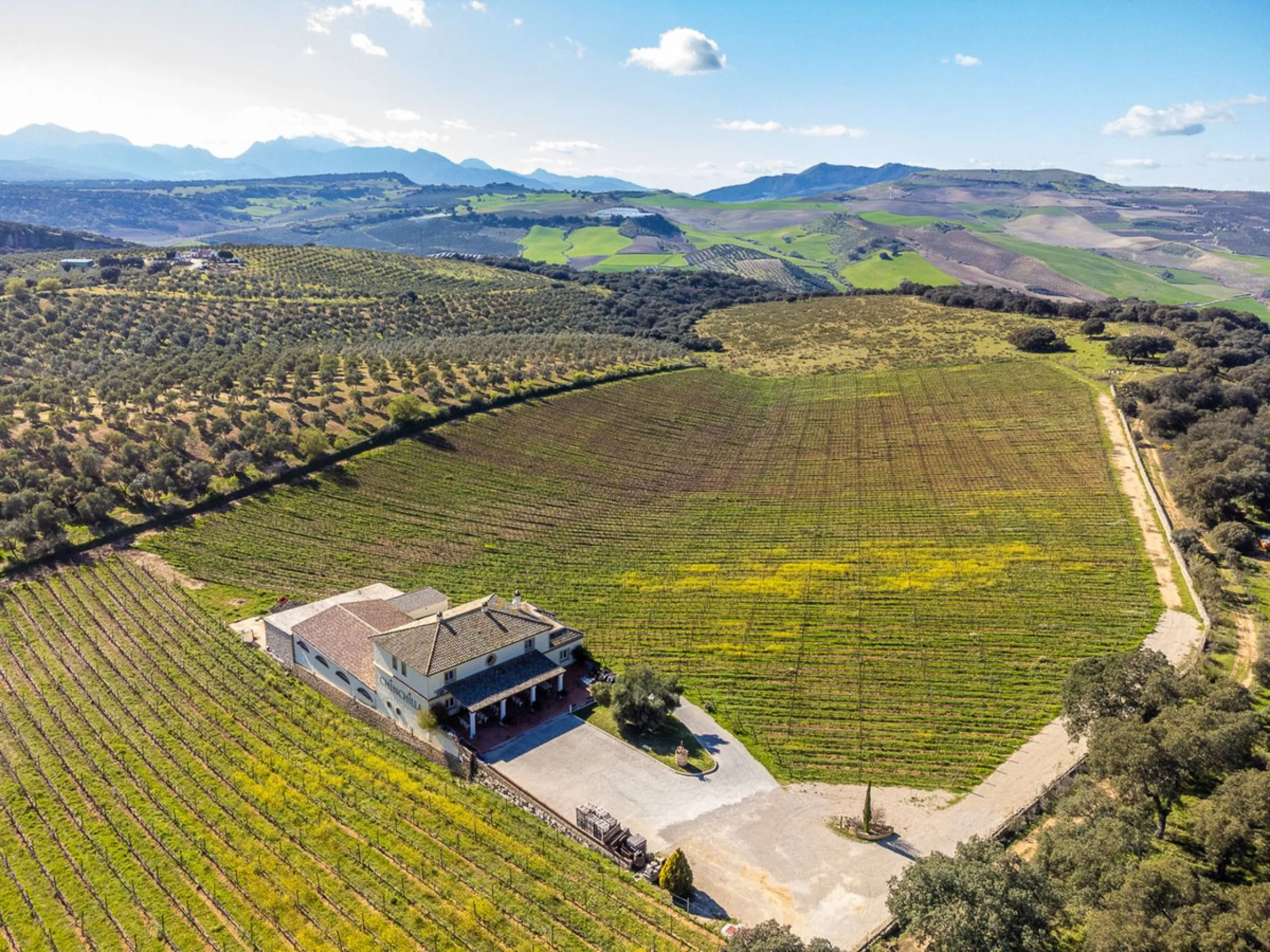 For Sale: Winery with Boutique Hotel and Restaurant – A Thriving Business with a Rich History
