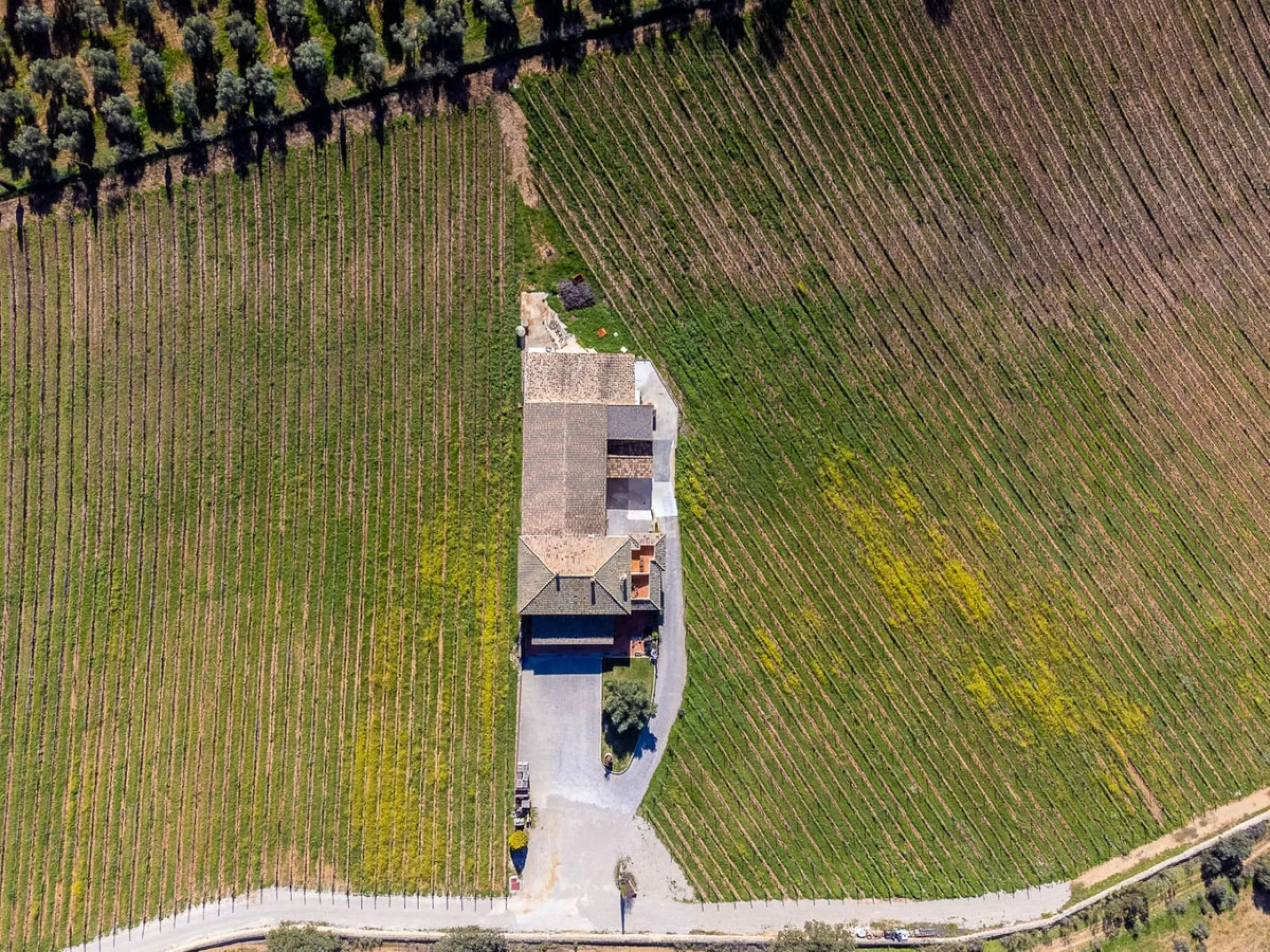For Sale: Winery with Boutique Hotel and Restaurant – A Thriving Business with a Rich History