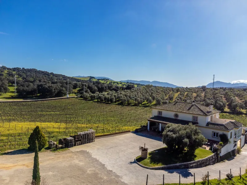 For Sale: Winery with Boutique Hotel and Restaurant – A Thriving Business with a Rich History