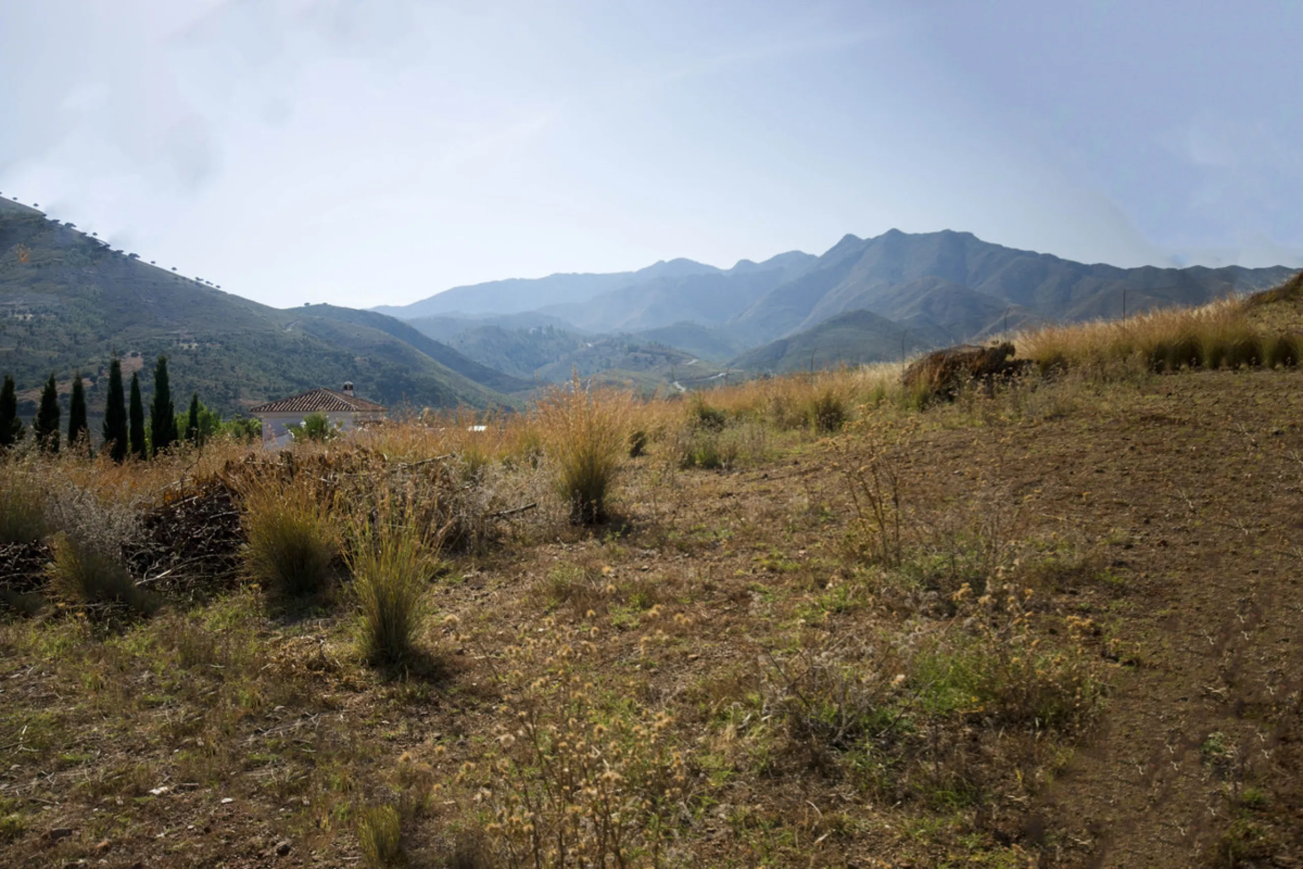 Charming little finca with lots of land. Could make a great place to keep animals. Not too far out and reached to the door by tarmacked roadways. All on one level the property has been extensively renovated and boasts a lovely family room kitchen, spaciou