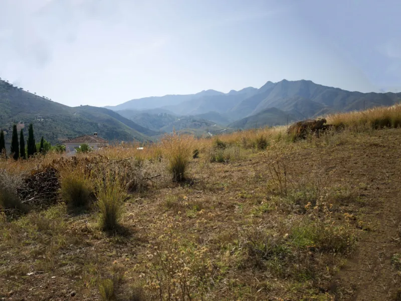 Charming little finca with lots of land. Could make a great place to keep animals. Not too far out and reached to the door by tarmacked roadways. All on one level the property has been extensively renovated and boasts a lovely family room kitchen, spaciou