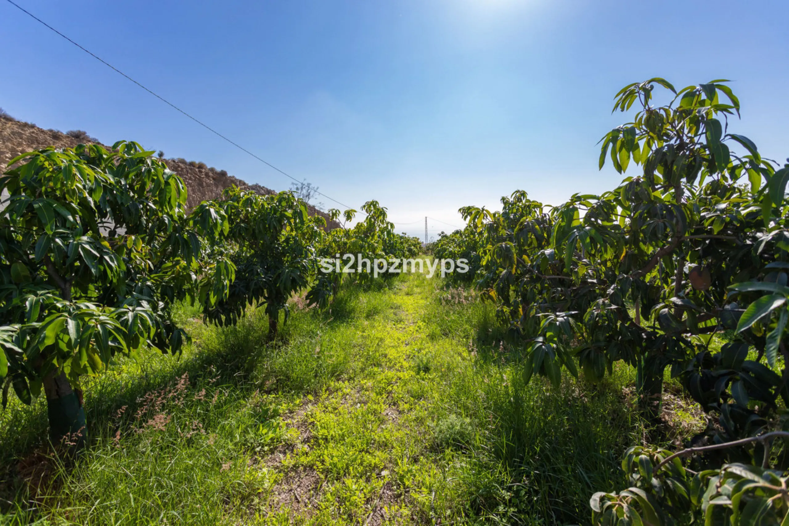 Finca with panoramic views and mango plantation Welcome to this rustic and lovely finca with 10,700 sqm of land and mango plantation located only 3 km from the beach in Lagos and 15 minutes from Torrox Costa via a road in good condition.