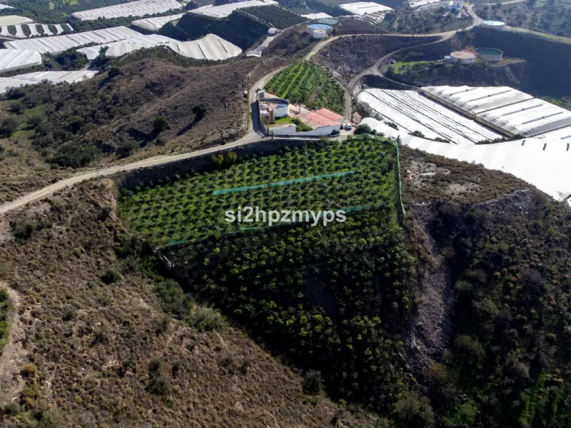 Finca with panoramic views and mango plantation Welcome to this rustic and lovely finca with 10,700 sqm of land and mango plantation located only 3 km from the beach in Lagos and 15 minutes from Torrox Costa via a road in good condition.