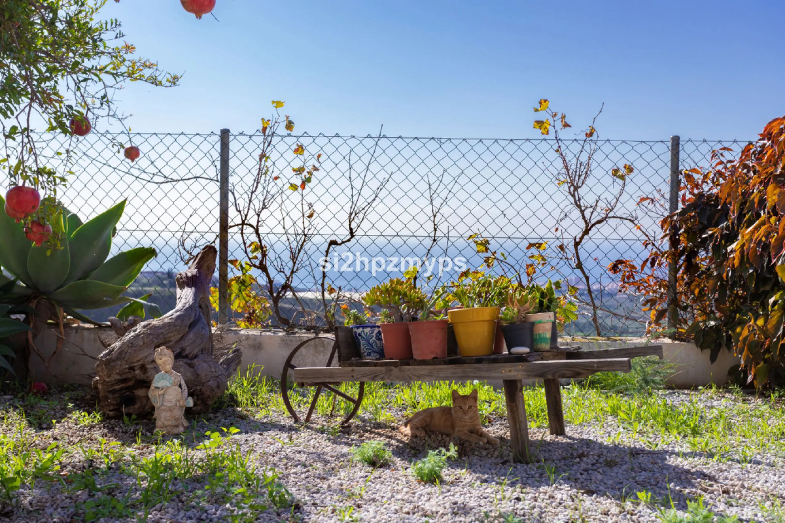 Finca with panoramic views and mango plantation Welcome to this rustic and lovely finca with 10,700 sqm of land and mango plantation located only 3 km from the beach in Lagos and 15 minutes from Torrox Costa via a road in good condition.