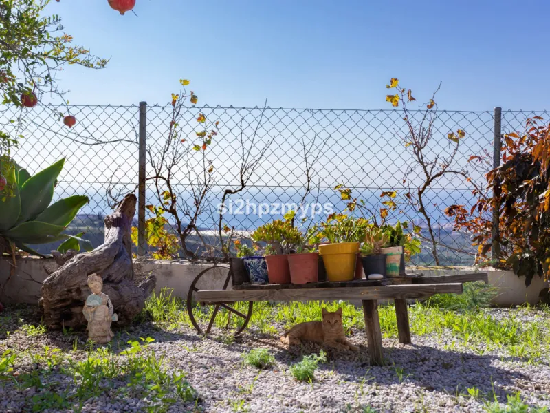 Finca with panoramic views and mango plantation Welcome to this rustic and lovely finca with 10,700 sqm of land and mango plantation located only 3 km from the beach in Lagos and 15 minutes from Torrox Costa via a road in good condition.