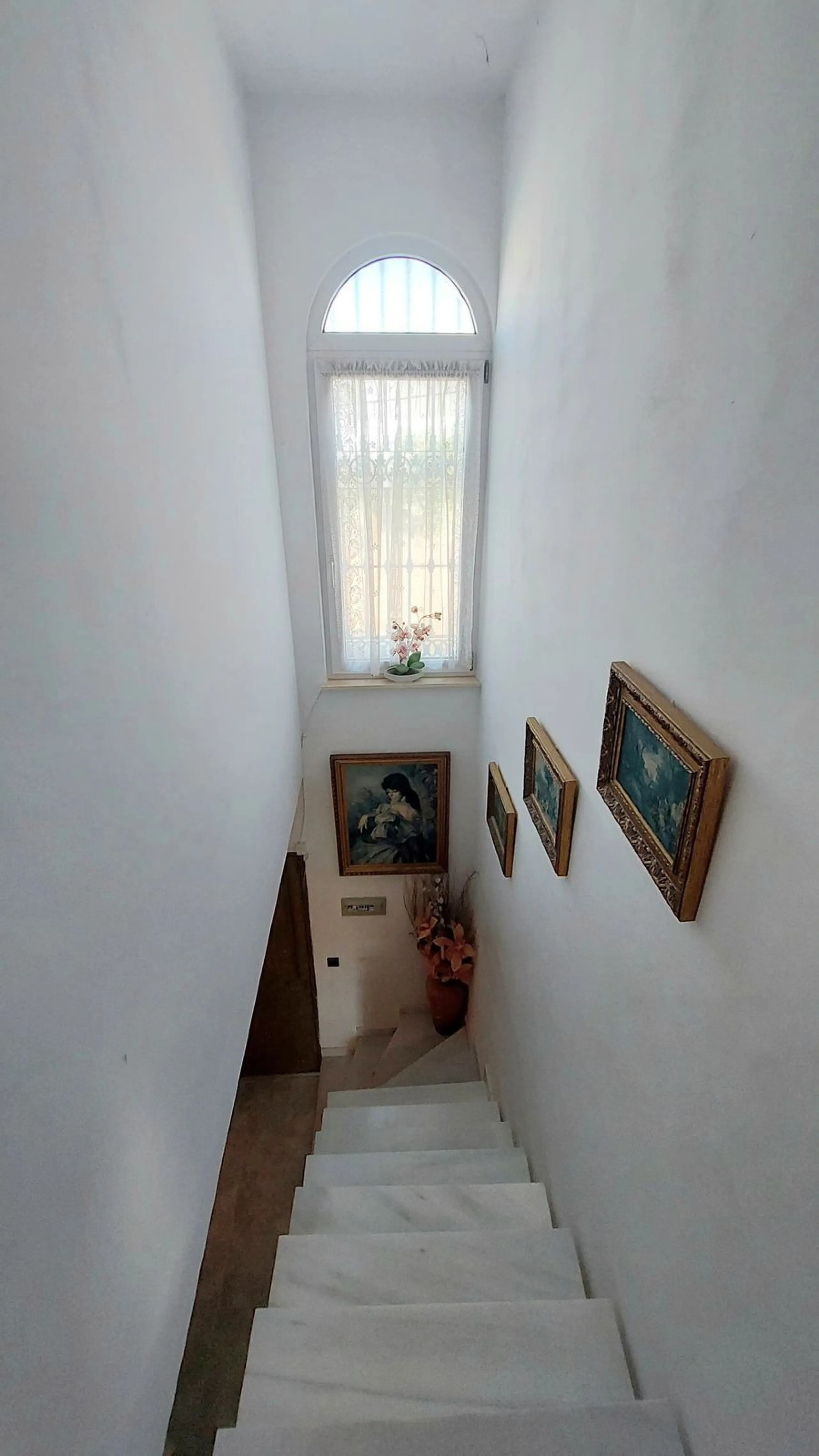 Huge house with large plot in Puerto de la Torre, 10 minutes from Avenida de Carlos Haya, privileged location in quiet area and minutes from Malaga, easy access to the highway. It is distributed in 5 bedrooms and 2 bathrooms, a large living room, terraces