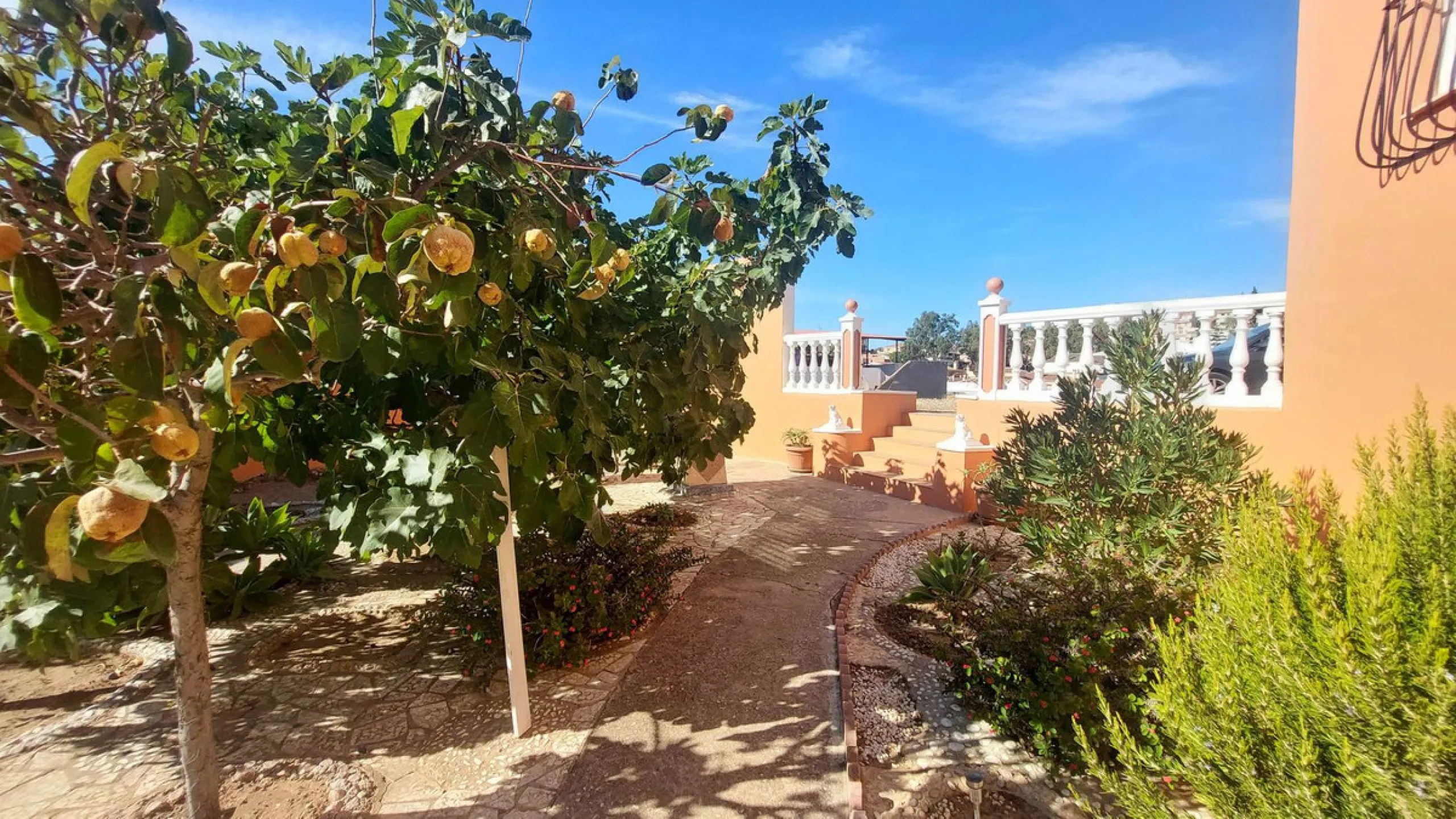 Huge house with large plot in Puerto de la Torre, 10 minutes from Avenida de Carlos Haya, privileged location in quiet area and minutes from Malaga, easy access to the highway. It is distributed in 5 bedrooms and 2 bathrooms, a large living room, terraces