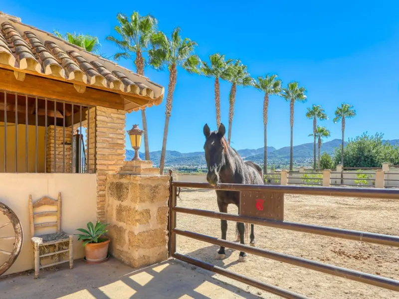 House - Finca - Cortijo в продаже в Alhaurín de la Torre, Málaga. В доме 8 спален и 6 ванных комнат. Площадь дома 659 м². Площадь участка 4613 м²
