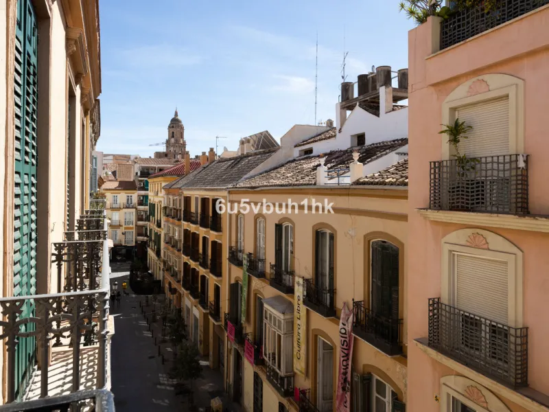 Discover sophisticated city living in this fully renovated penthouse, located in the very heart of Málaga's historic centre. Designed for those who appreciate refined aesthetics, comfort, and tranquillity, this home offers a private retreat in one of the 