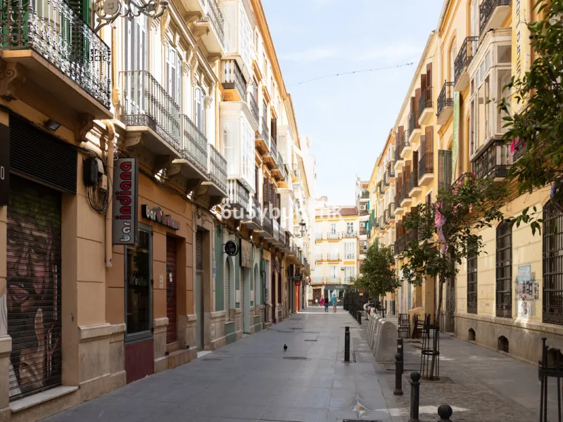 Discover sophisticated city living in this fully renovated penthouse, located in the very heart of Málaga's historic centre. Designed for those who appreciate refined aesthetics, comfort, and tranquillity, this home offers a private retreat in one of the 