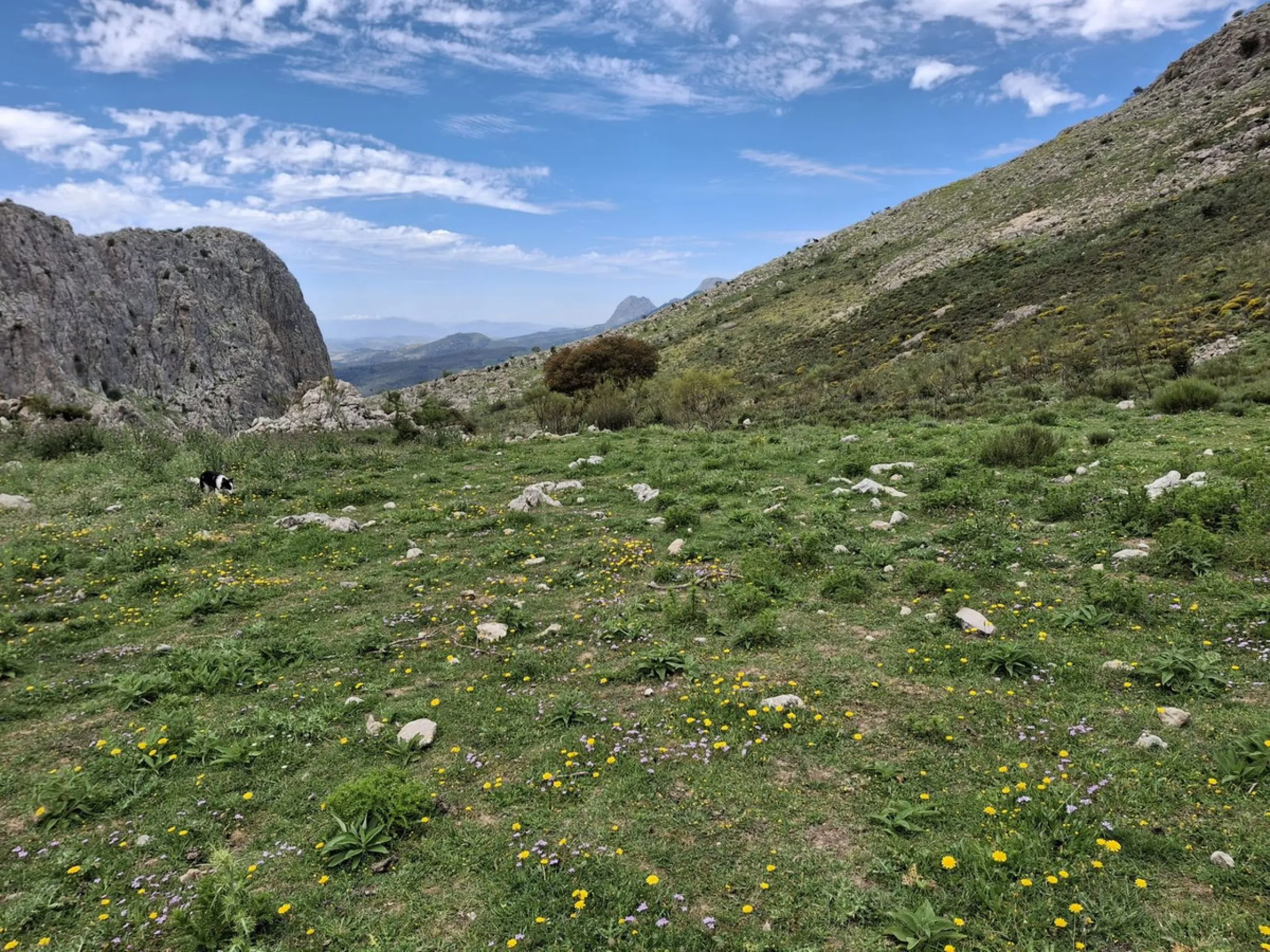 Plot - Land в продаже в Alfarnatejo, Málaga. Площадь участка 680000 м²