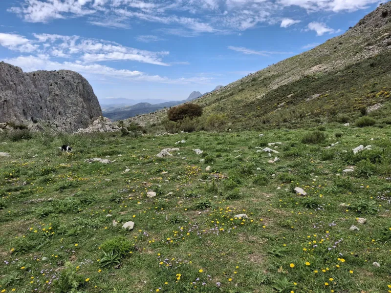 Plot - Land в продаже в Alfarnatejo, Málaga. Площадь участка 680000 м²