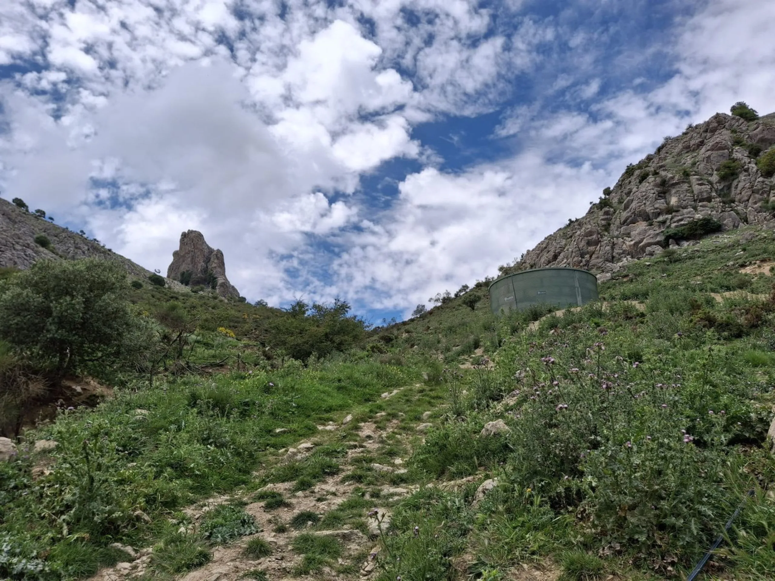 Plot - Land в продаже в Alfarnatejo, Málaga. Площадь участка 680000 м²