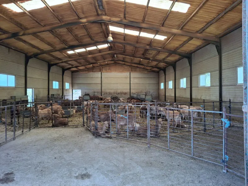 Plot - Land в продаже в Alfarnatejo, Málaga. Площадь участка 680000 м²