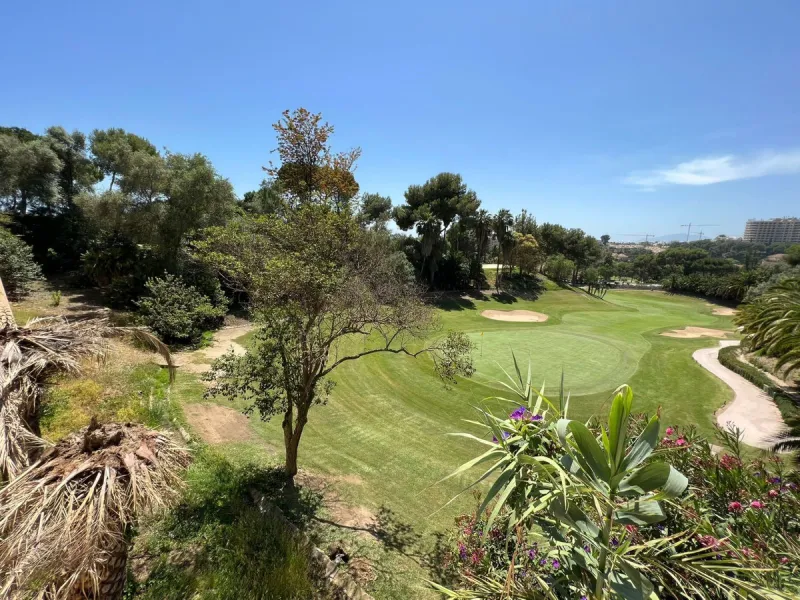 Spacious Front line golf Villa available for sale in Rio Real, Marbella!