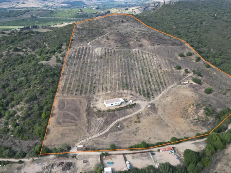Non-developable rural land of 10 hectares, of which 212 sqm are built in a legalized warehouse, with the option of housing.