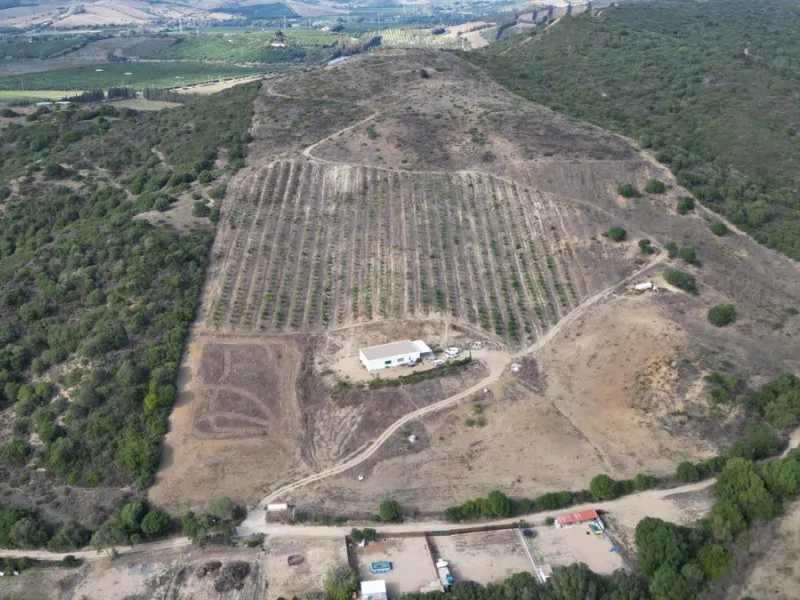 Non-developable rural land of 10 hectares, of which 212 sqm are built in a legalized warehouse, with the option of housing.