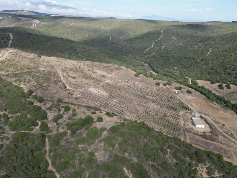 Non-developable rural land of 10 hectares, of which 212 sqm are built in a legalized warehouse, with the option of housing.