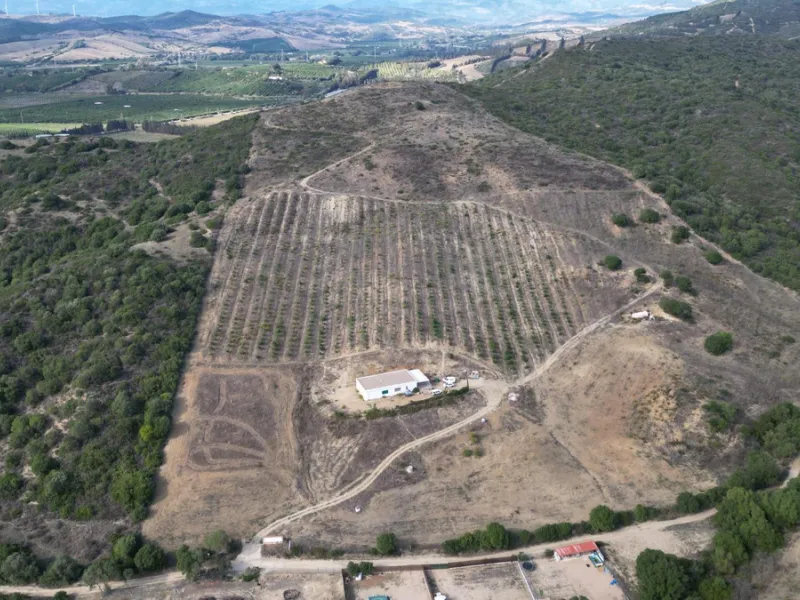 Non-developable rural land of 10 hectares, of which 212 sqm are built in a legalized warehouse, with the option of housing.