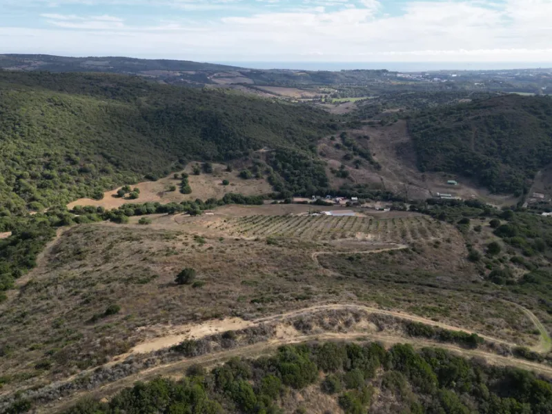 Non-developable rural land of 10 hectares, of which 212 sqm are built in a legalized warehouse, with the option of housing.