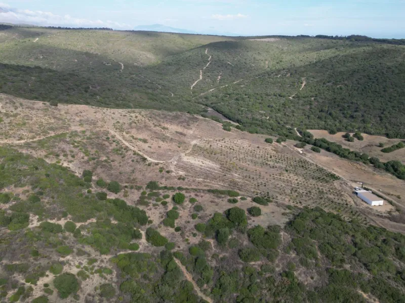 Non-developable rural land of 10 hectares, of which 212 sqm are built in a legalized warehouse, with the option of housing.