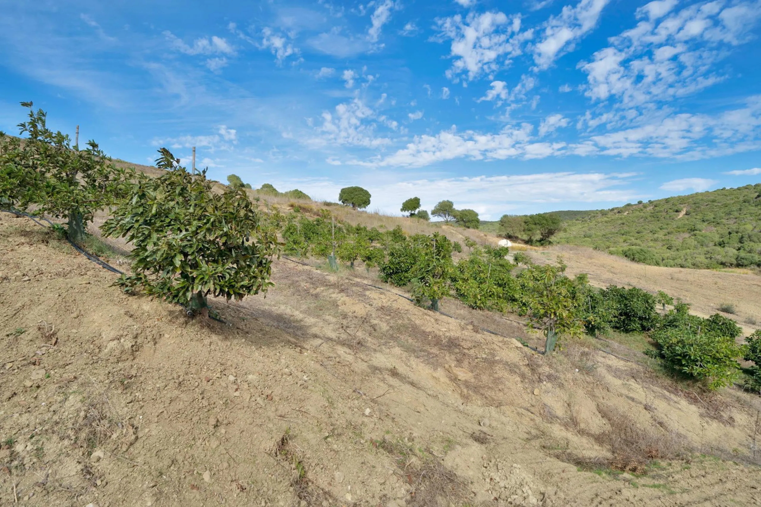 Non-developable rural land of 10 hectares, of which 212 sqm are built in a legalized warehouse, with the option of housing.