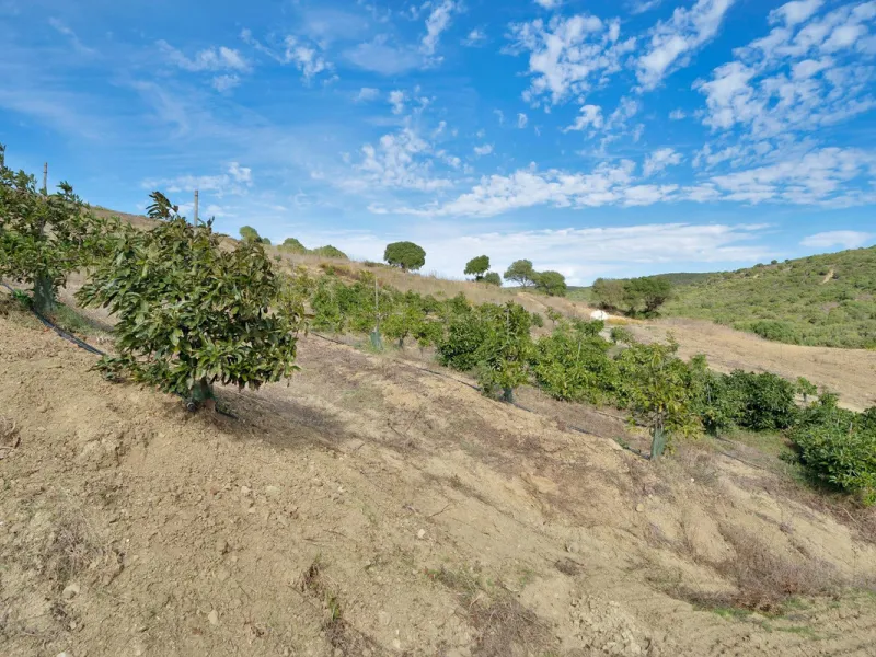 Non-developable rural land of 10 hectares, of which 212 sqm are built in a legalized warehouse, with the option of housing.