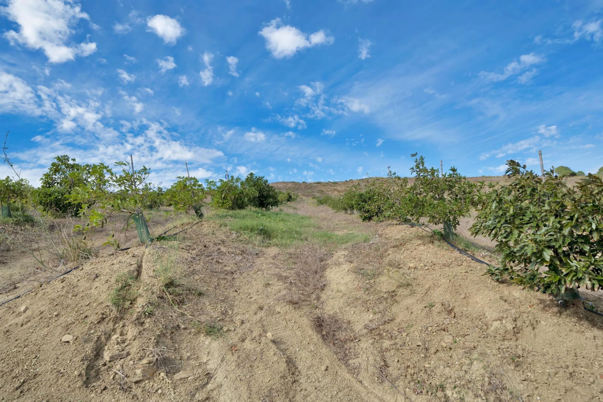 Non-developable rural land of 10 hectares, of which 212 sqm are built in a legalized warehouse, with the option of housing.