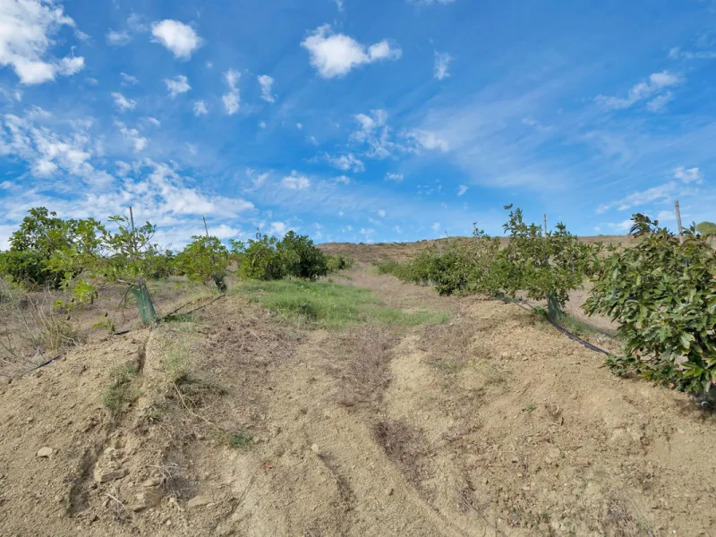 Non-developable rural land of 10 hectares, of which 212 sqm are built in a legalized warehouse, with the option of housing.