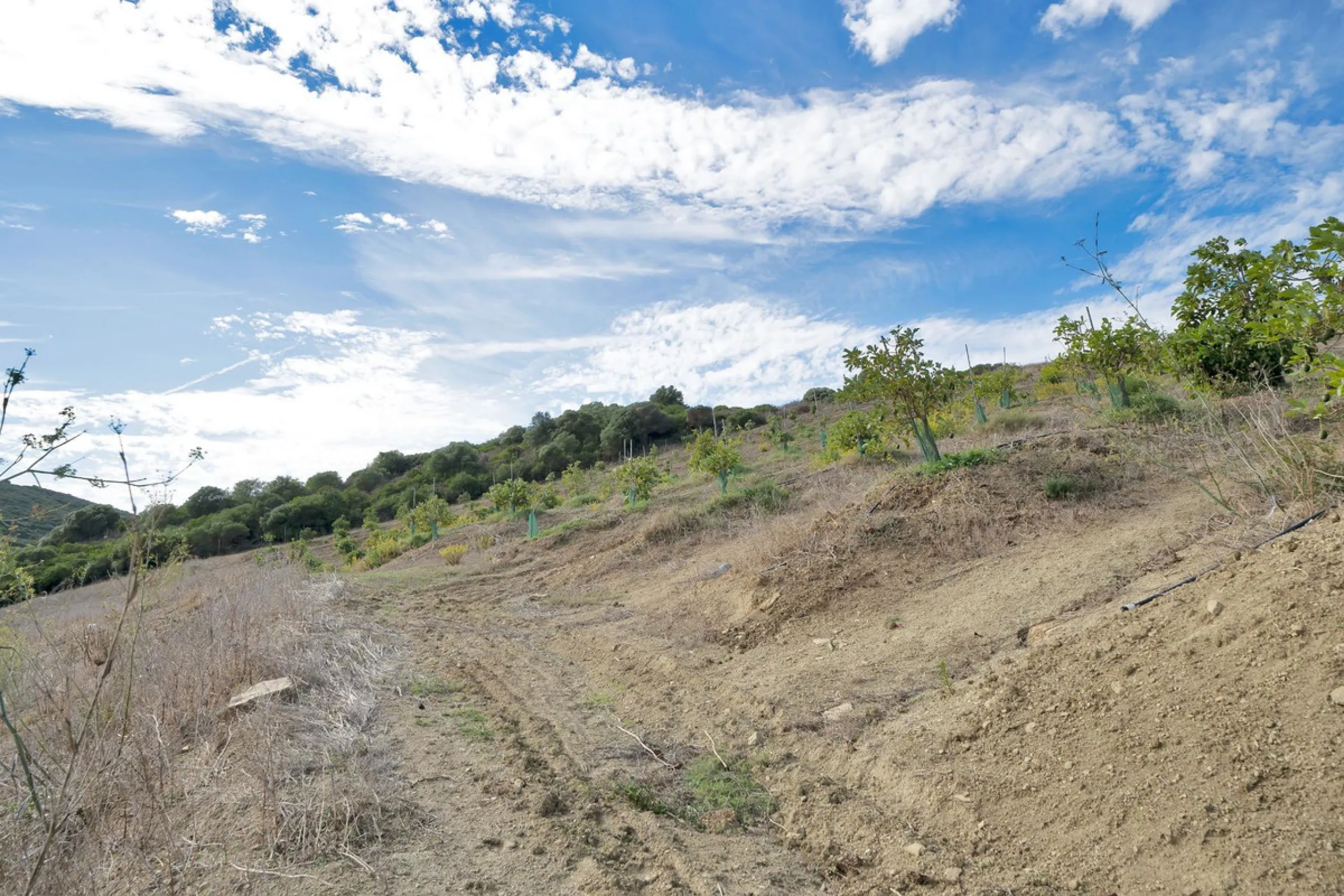 Non-developable rural land of 10 hectares, of which 212 sqm are built in a legalized warehouse, with the option of housing.