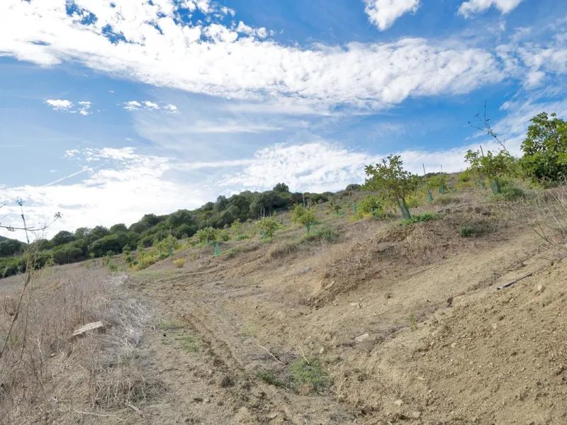 Non-developable rural land of 10 hectares, of which 212 sqm are built in a legalized warehouse, with the option of housing.