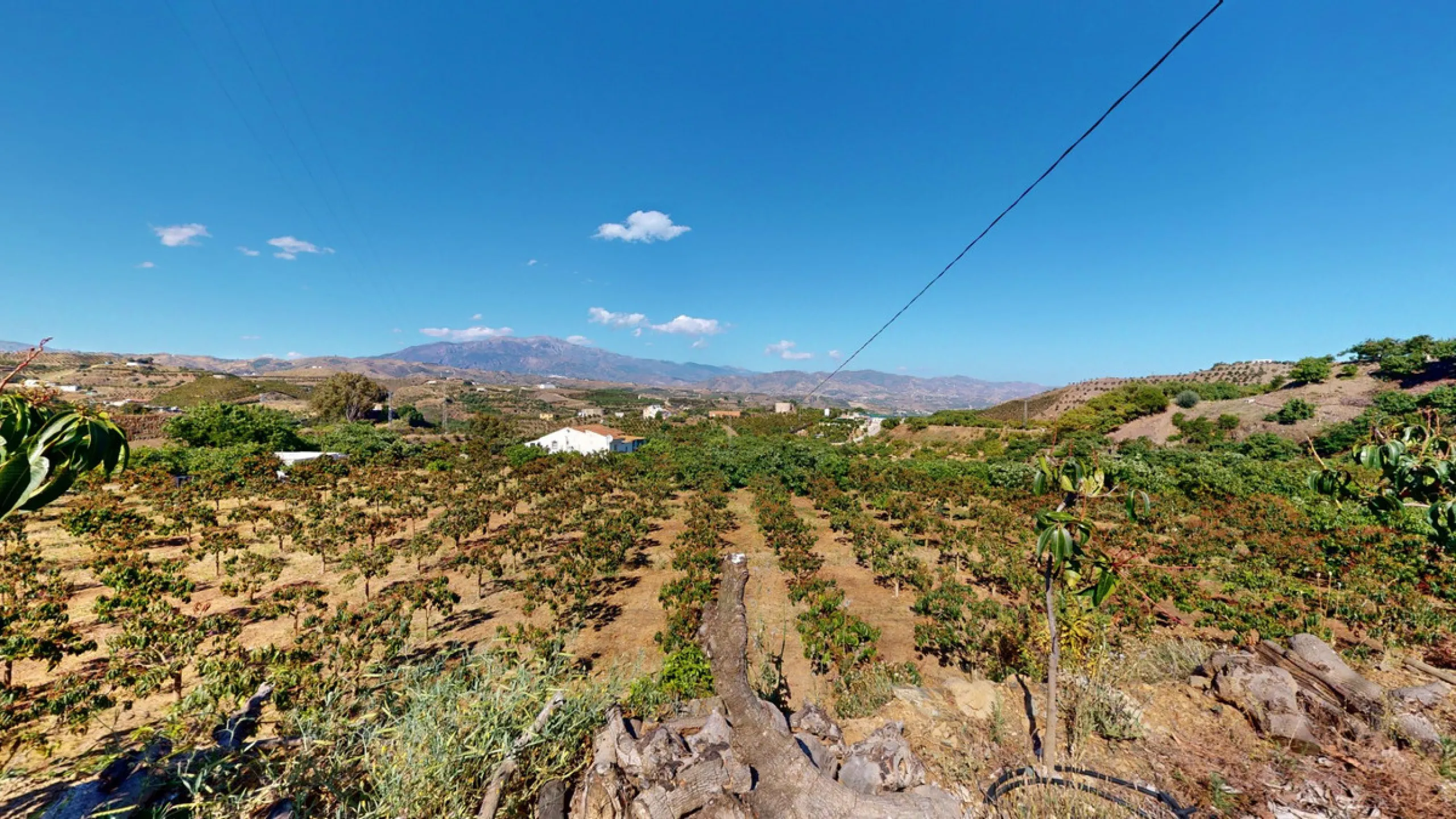 This charming finca is situated in a serene and peaceful location, offering picturesque views of the surrounding landscape. The expansive property boasts 280 magnificent mango trees, 90 stately avocado trees, and several blooming citrus trees, creating a 