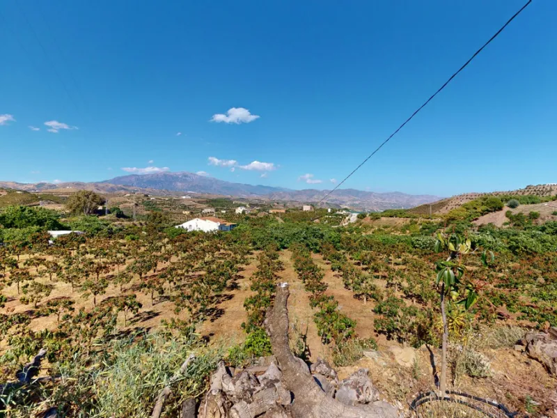 This charming finca is situated in a serene and peaceful location, offering picturesque views of the surrounding landscape. The expansive property boasts 280 magnificent mango trees, 90 stately avocado trees, and several blooming citrus trees, creating a 