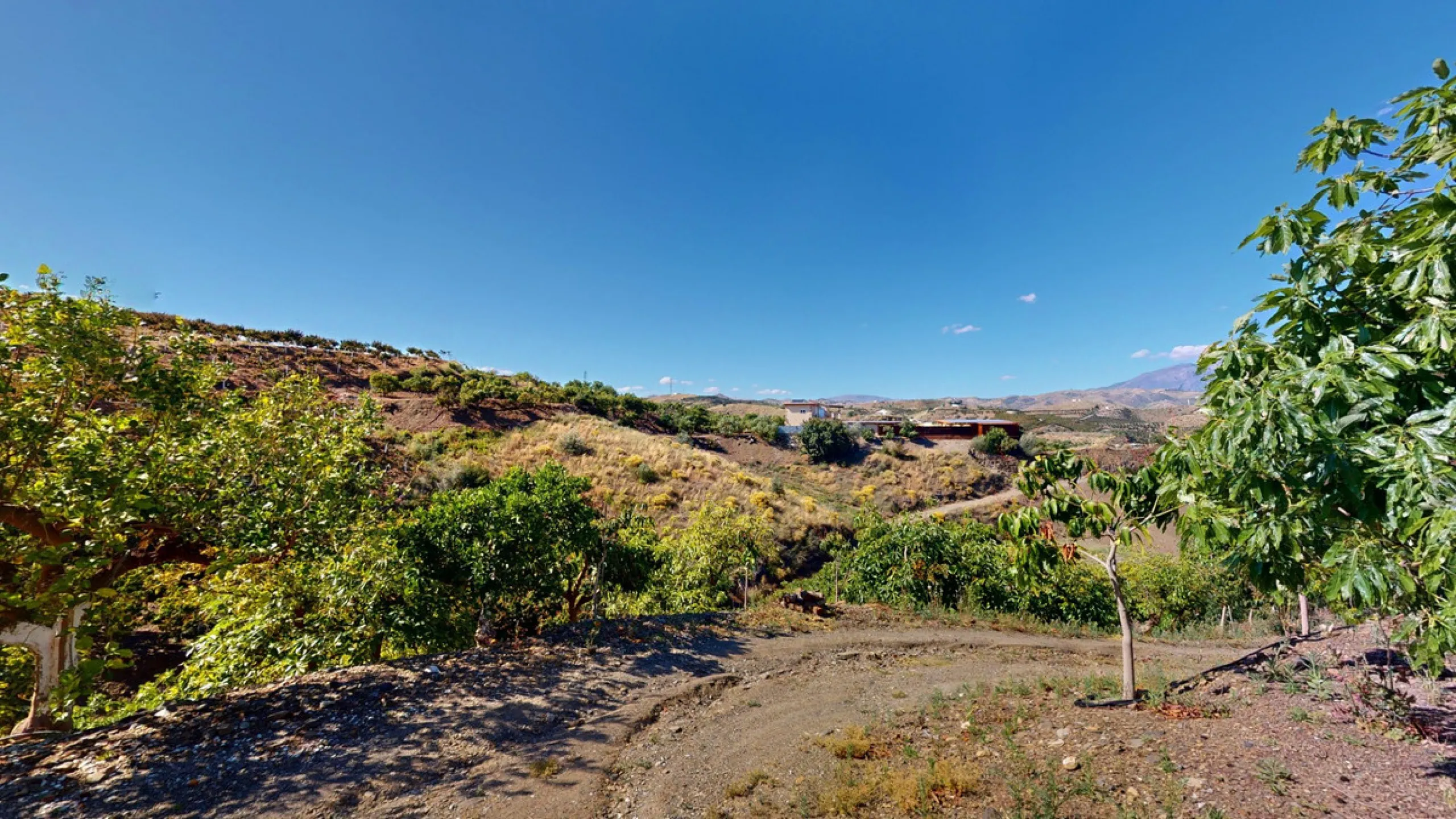 This charming finca is situated in a serene and peaceful location, offering picturesque views of the surrounding landscape. The expansive property boasts 280 magnificent mango trees, 90 stately avocado trees, and several blooming citrus trees, creating a 