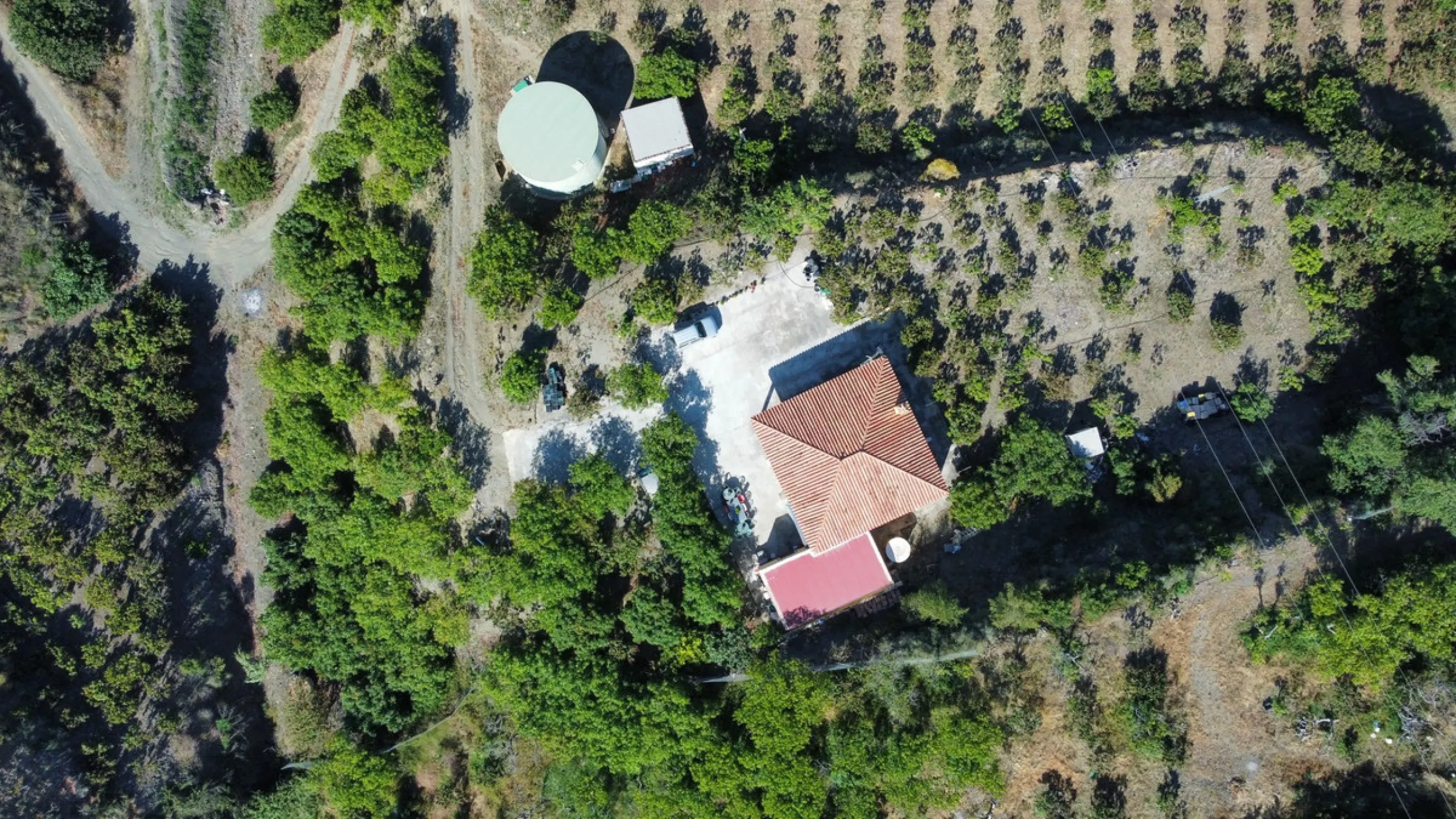 This charming finca is situated in a serene and peaceful location, offering picturesque views of the surrounding landscape. The expansive property boasts 280 magnificent mango trees, 90 stately avocado trees, and several blooming citrus trees, creating a 