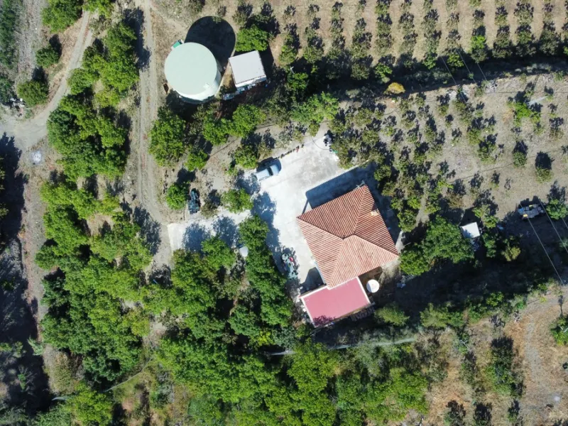 This charming finca is situated in a serene and peaceful location, offering picturesque views of the surrounding landscape. The expansive property boasts 280 magnificent mango trees, 90 stately avocado trees, and several blooming citrus trees, creating a 