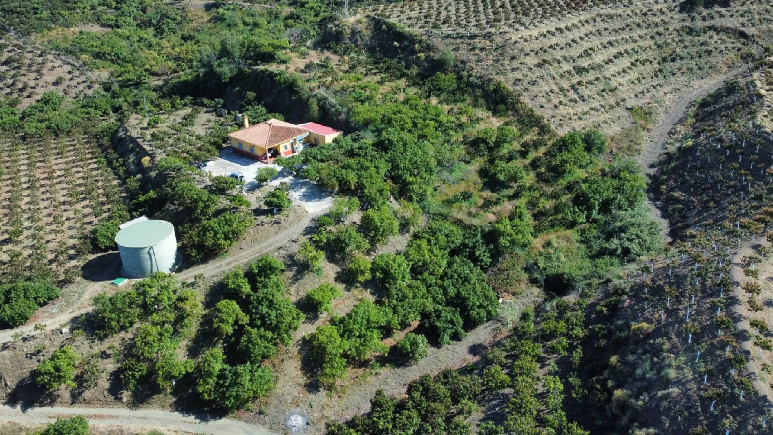 This charming finca is situated in a serene and peaceful location, offering picturesque views of the surrounding landscape. The expansive property boasts 280 magnificent mango trees, 90 stately avocado trees, and several blooming citrus trees, creating a 