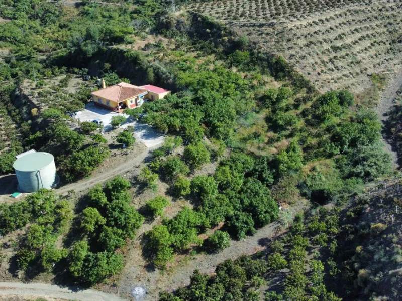 This charming finca is situated in a serene and peaceful location, offering picturesque views of the surrounding landscape. The expansive property boasts 280 magnificent mango trees, 90 stately avocado trees, and several blooming citrus trees, creating a 