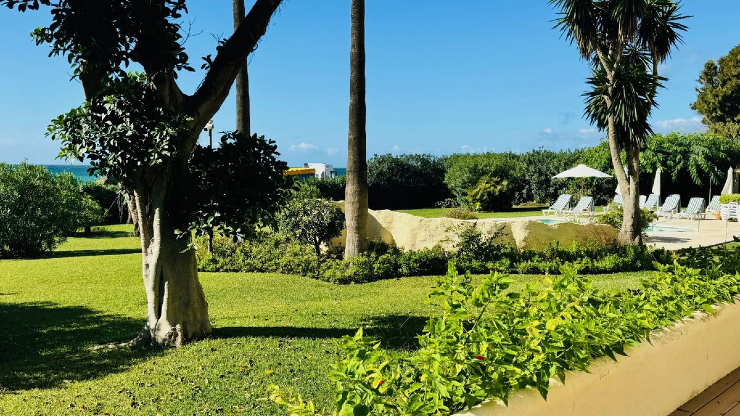 Reduced Frontline beach apartment for sale in Elviria, Marbella.
