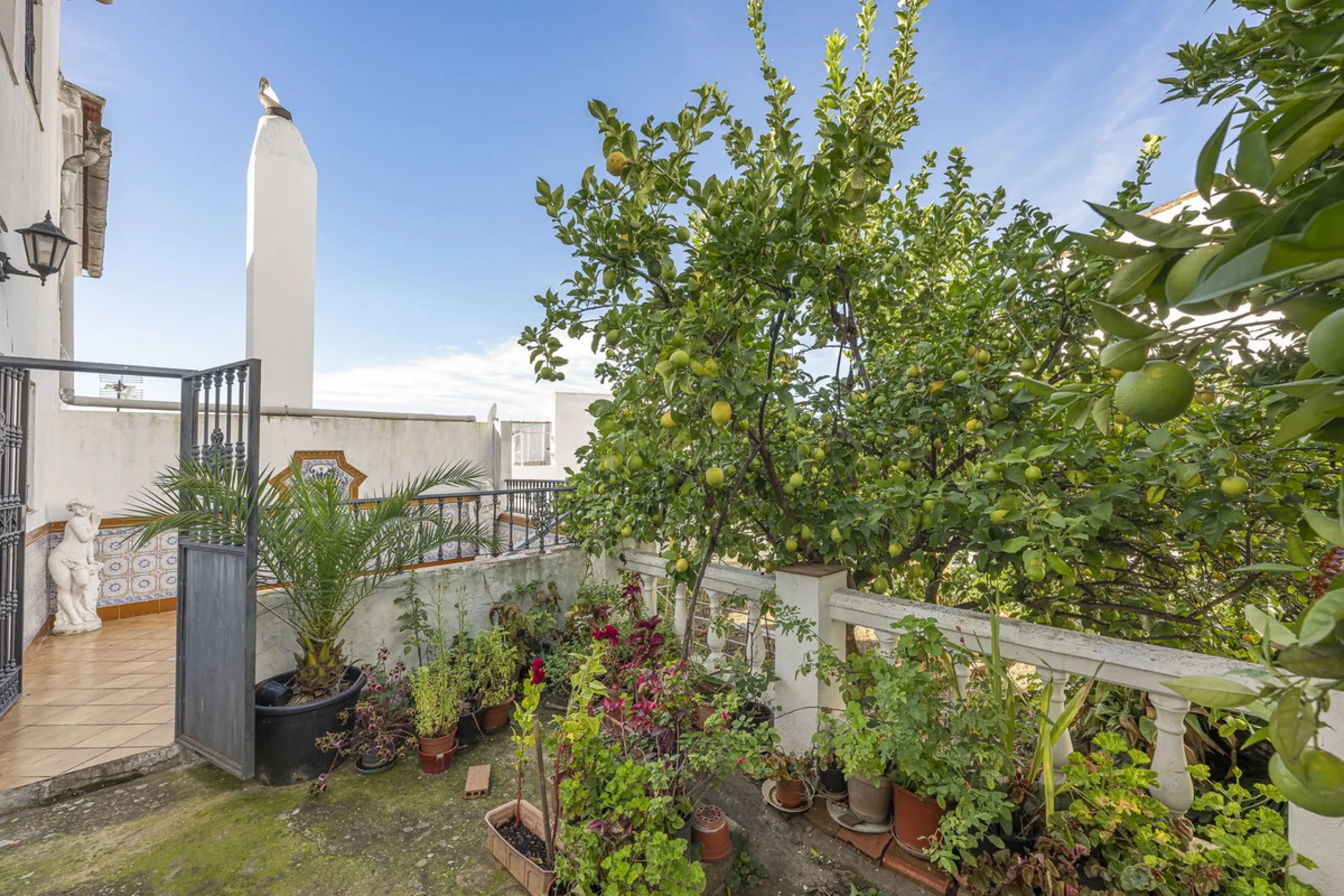 ???? Family Home with Unparalleled Panoramic Views – 321 m² built area, 145 m² garden, and 334 m² plot
