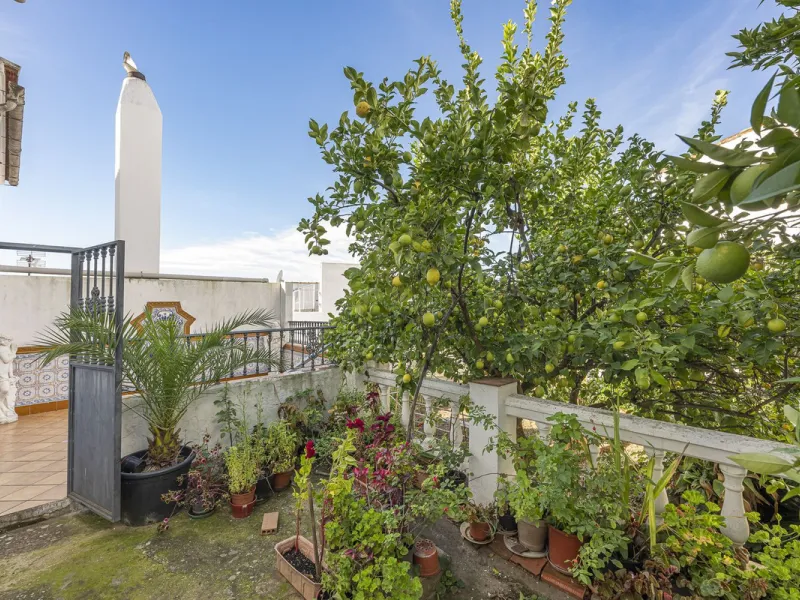 ???? Family Home with Unparalleled Panoramic Views – 321 m² built area, 145 m² garden, and 334 m² plot